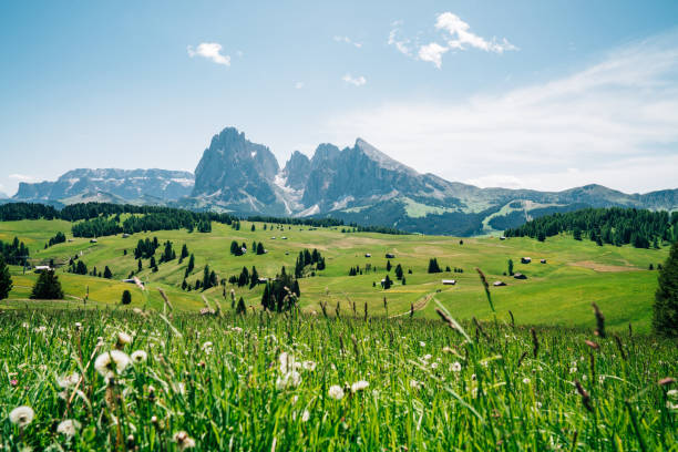 istock Sassolungo, Langkofel mountain group in Dolomites, Italy 2152852841