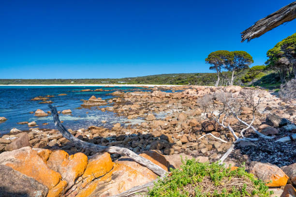 istock Bunker Bay beach in Cape Naturaliste, Western Australia 2152853688