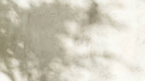 istock Blank weathered concrete wall with texture, stain, sunlight cast dappled light, leaf foliage shadow 2152856231