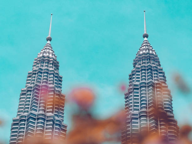 Low ngle view of flowers against the twin towers