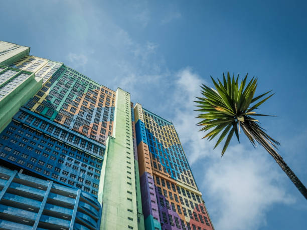 Palm tree against highrise apartment