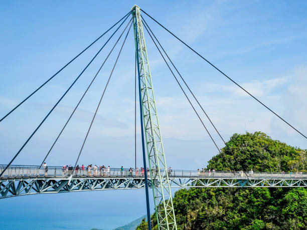 Single post cable suspended bridge in the mountain