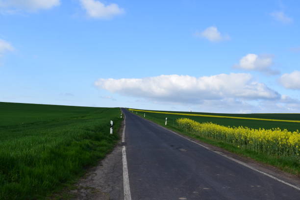 istock straight country road in spring 2152861566
