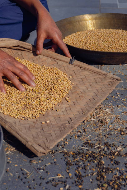 istock Manual pulse Grain or Soyabean Dal Cleaning: Using Stainer or Channi - Uttarakhand, India 2152862486