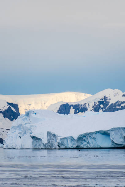 istock Landscape of the Antarctic Peninsula 2152862631