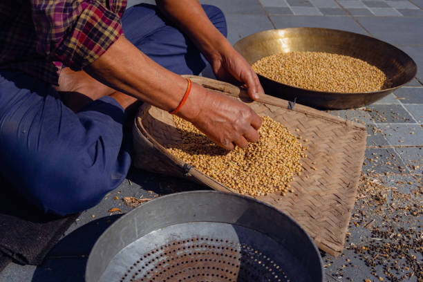 istock Manual pulse Grain or Soyabean Dal Cleaning: Using Stainer or Channi - Uttarakhand, India 2152863003