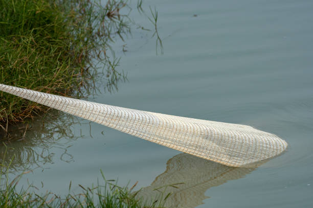 A fisherman pulling his fishing net from water for catching fish.