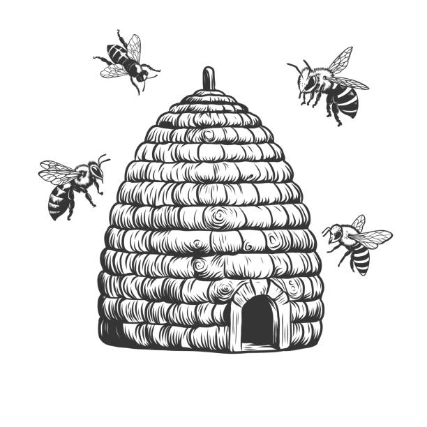 illustrazioni stock, clip art, cartoni animati e icone di tendenza di alveare in legno e api volanti. incisione vettoriale disegnata a mano isolata su sfondo bianco per apicoltura, produzione di miele. xilografia, acquaforte - arnia