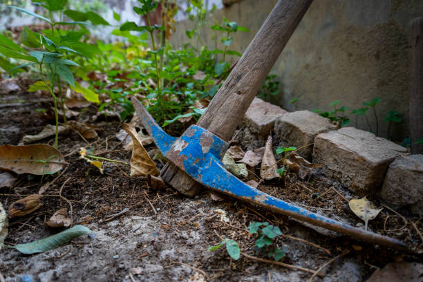 istock A pickaxe, or pick is a generally T-shaped hand tool used for prying. Garden tools in an organic Indian farmland, traditional farming practices. 2152866163