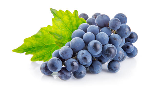 istock Blue grapes with green leaf healthy eating, isolated on white ba 2152867049