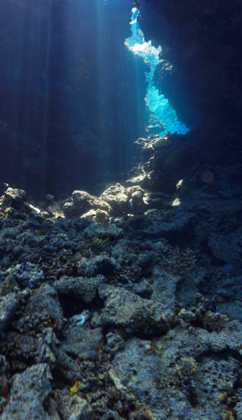 istock Rays of sunlight inside a coral reef cave underwater 2152869003