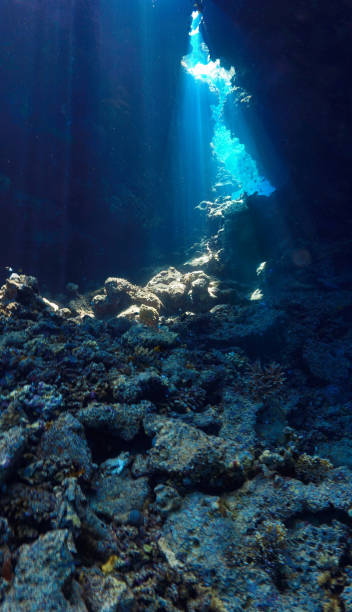 istock Rays of sunlight inside a coral reef cave underwater 2152869034