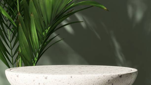 istock Round terrazzo white table podium, tropical palm tree in dappled sunlight on green wall 2152873809