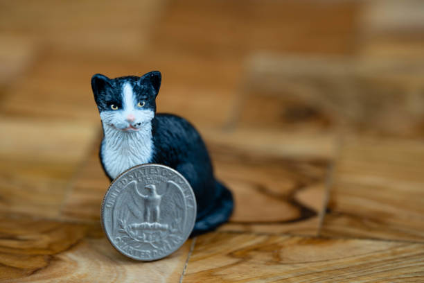 Pets like birds cats and dogs with money