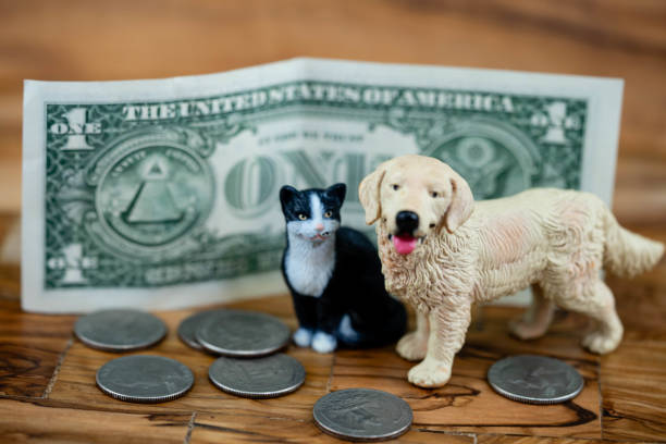 istock Costs of a pet 2152875017
