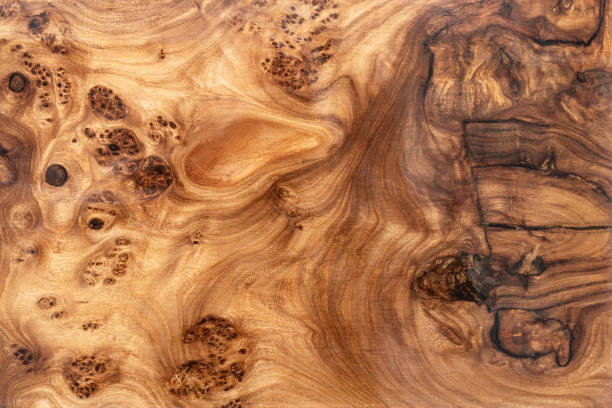 istock Texture of elm burl slab table top 2152875651