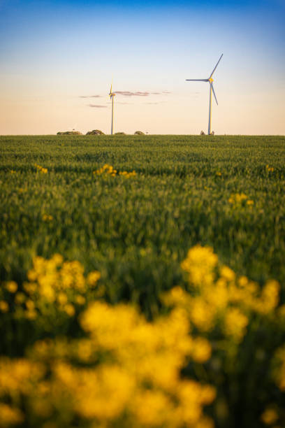Wind turbines from the Swedish countryside.Skara - Sweden.