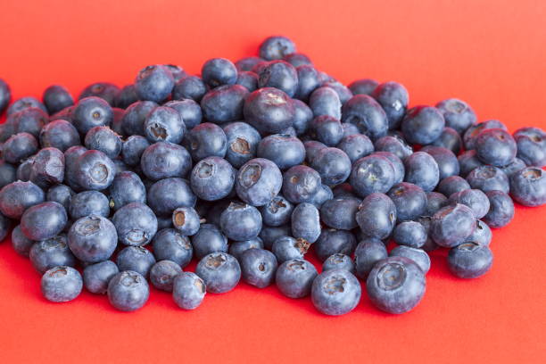 Fresh blueberries on a red background, close-up