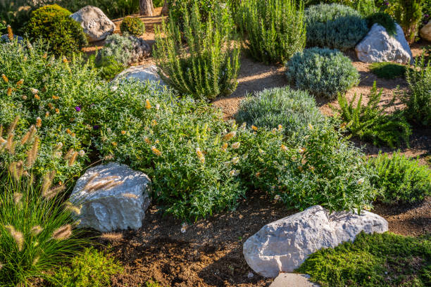 istock Backyard with fantastic landscaping, patio, drought resistant plants 2152889155