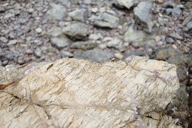 Sea wave with beach pebble and rock stone