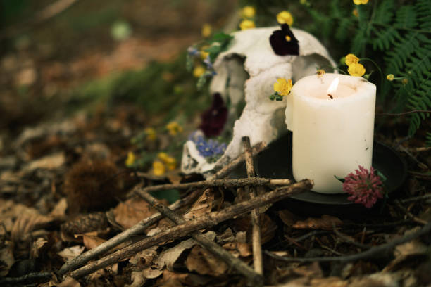 Magical objects in the forest.