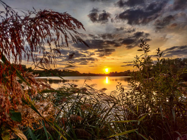 A beautiful sunset over the lake. Orange, dramatic sky with clouds, reed and reflection in the water. Norfolk Broads countryside evening landscape, England, UK