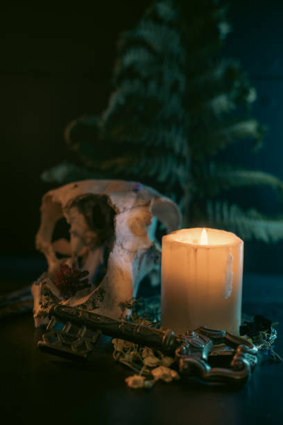 istock Magic ritual with animal skull, candle and key. 2152893952