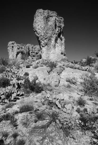 istock Film Image Sonora Desert Arizona Monochrome 2152895953