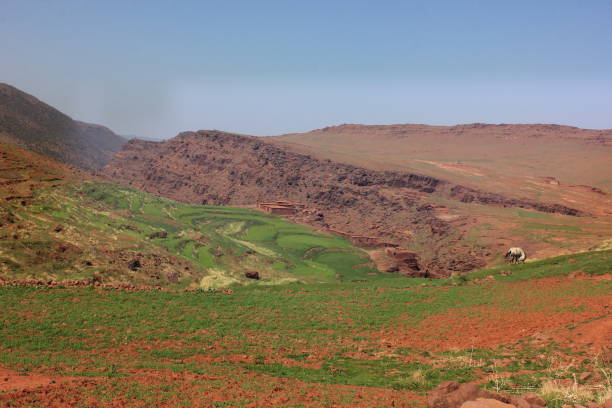 istock Plateau yagour Mountain, Tighdouine, Morocco 2152897882