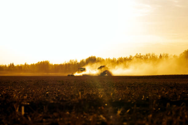 Agricultural field along the forest in the orange sunset light, silhouette of tractor with air drill and tank seeding in dense dust.