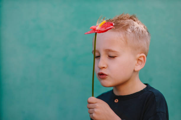 Portrait of a blond boy close-up with a flower in his hands