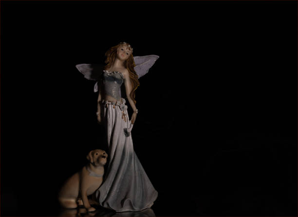 Angel girl with a dog
