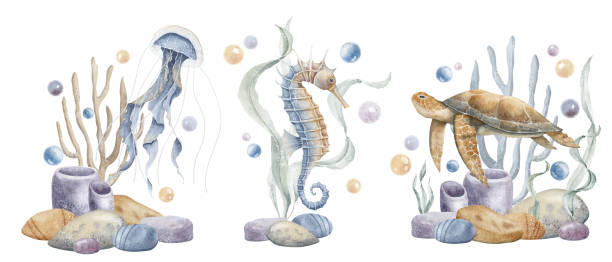 istock Watercolor compositions with Seahorse and sea Turtle with seaweeds and bubbles on isolated background. Illustration of Sea Horse and jellyfish. Drawing of underwater life for poster or logo 2152912131