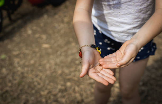 mãos de uma menina com uma joaninha rastejante em seus braços no parque. - suor excessivo nas palmas das mãos stockfotos en -beelden