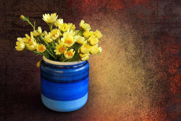 Yellow daisies in a rustic blue pot against old textured background. Simple romantic bouquet of yellow wild flowers. Copy space