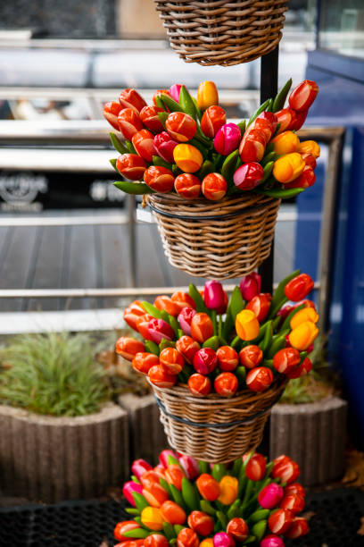 Holland souvenir bouquet of artificial tulips in basket for sale. Copy space. Vertical image