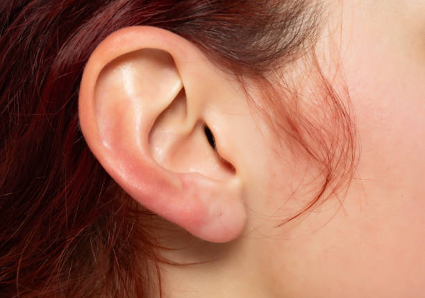 istock Close up of female ear 2152917775
