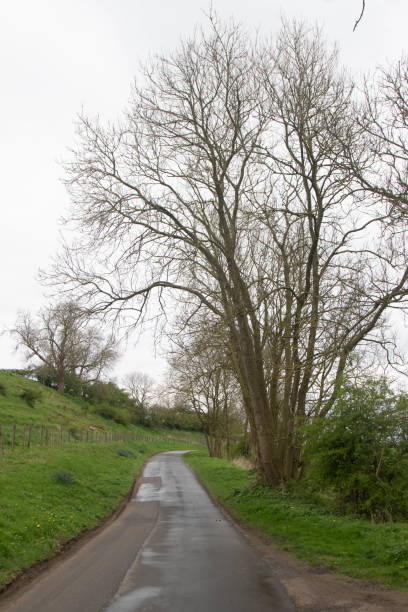 istock A rural Road in Yorkshire 2152923331