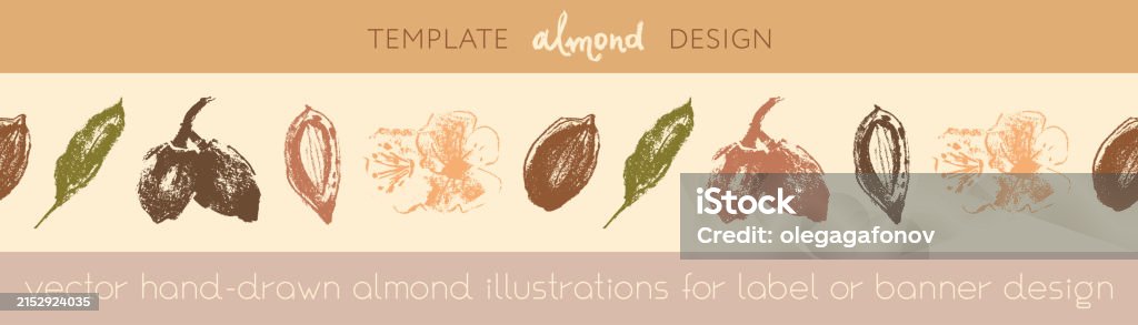 Almond Layout Almond Frame For Banner Background Or Label Template Design Organic ...