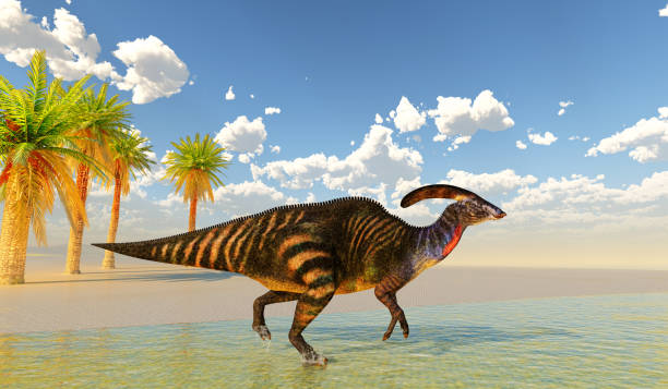istock Parasaurolophus Dinosaur Lakeshore 2152926848