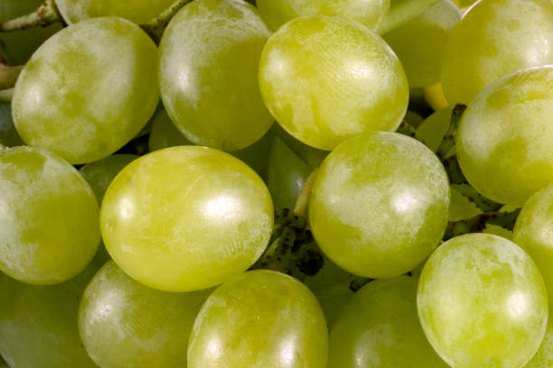 istock Green Cucumber Grapes Close Up 2152930441