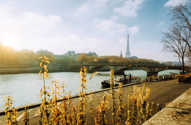 Bright autumn day with a view of the Eiffel Tower, Seine River, and Parisian architecture. Perfect for travel and tourism content.