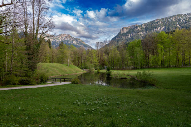 alpine lake in the mountains