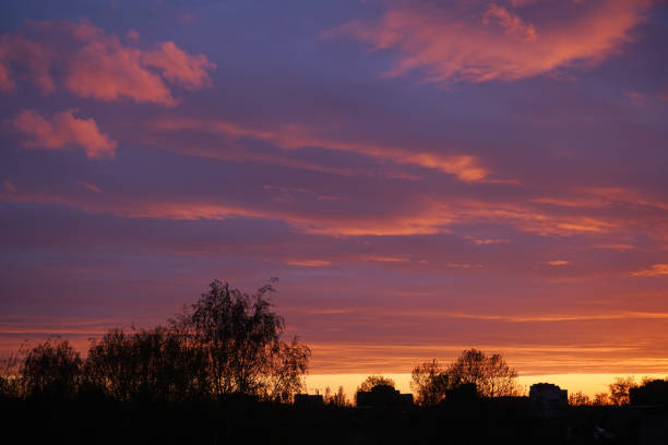 Yellow purple sky, sunrise sky.