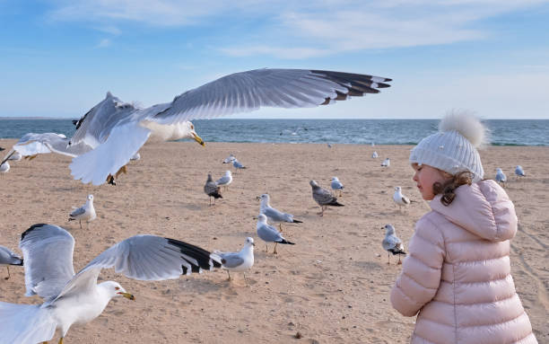 istock Pretty young girl feeding seagulls in flight 2152942661