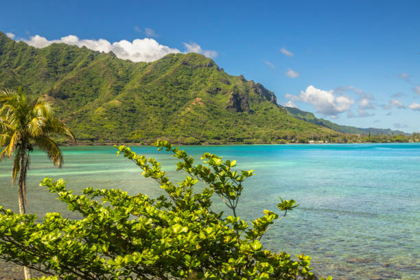 istock Beautiful Hawaii Coastal Scenes 2152944127
