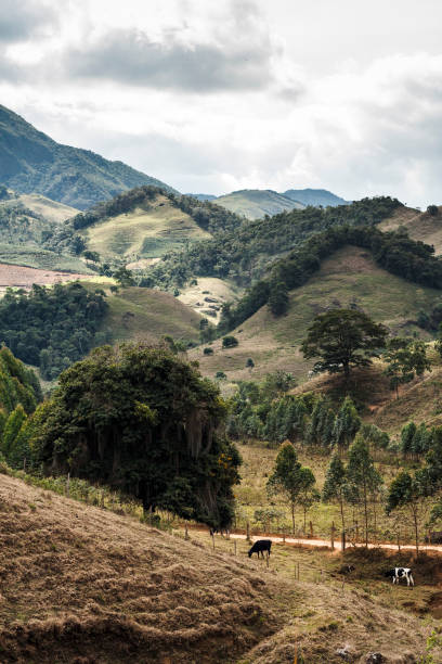 istock Rural landscape in the mountains 2152948440