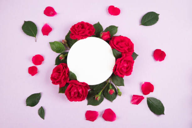 istock Empty podium with rose flowers on pink background 2152949372