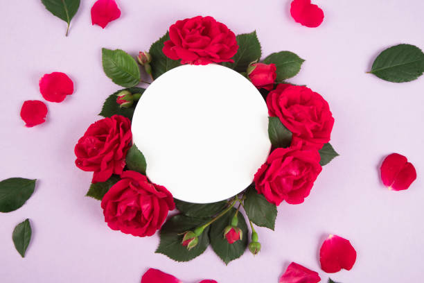 istock Empty podium with rose flowers on pink background 2152949653