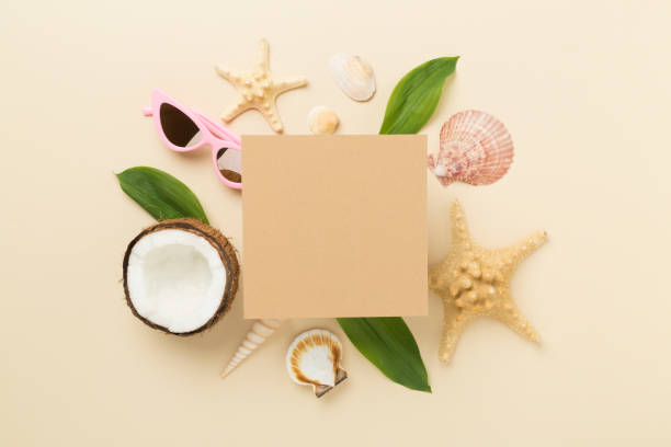 istock Summer banner with coconut and sea shells on color background. Vacation concept 2152950204